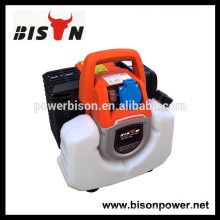 BISON (CHINA) Alle Arten von China Generator Wechselrichter BS1000I